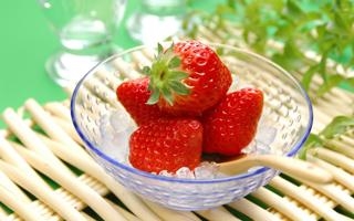 博多格林特 VS 斯托姆加斯特